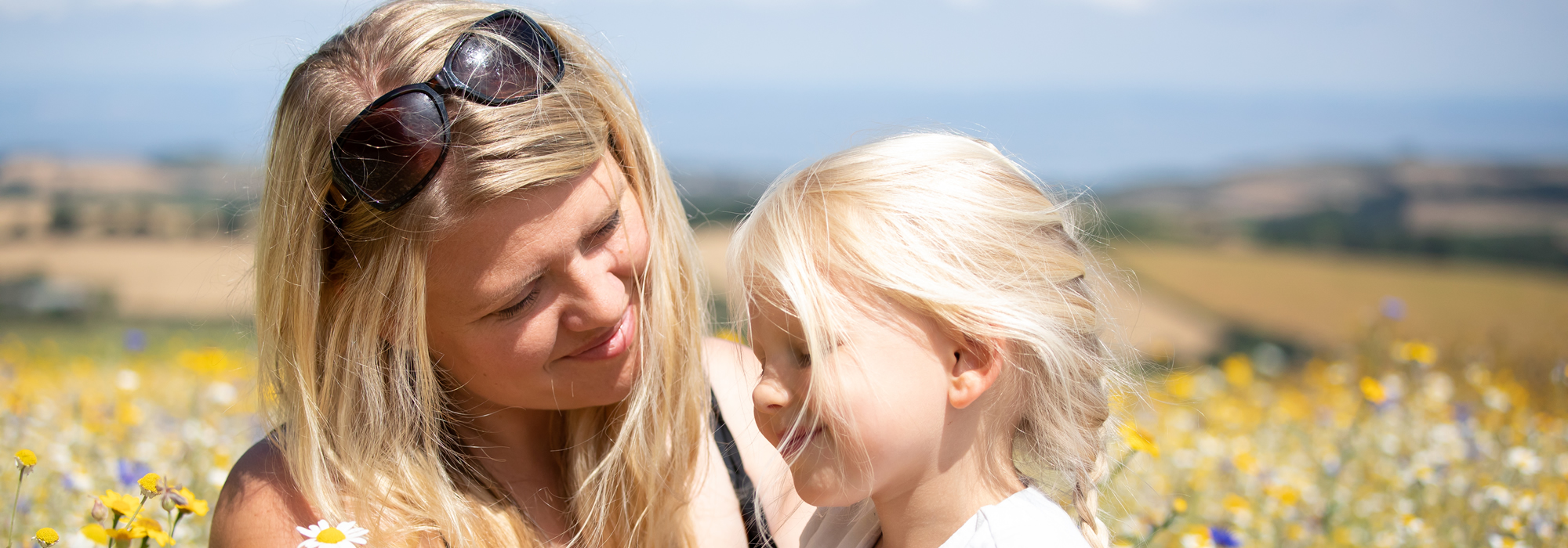 banner-family